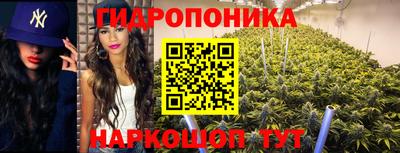 spice Волжский