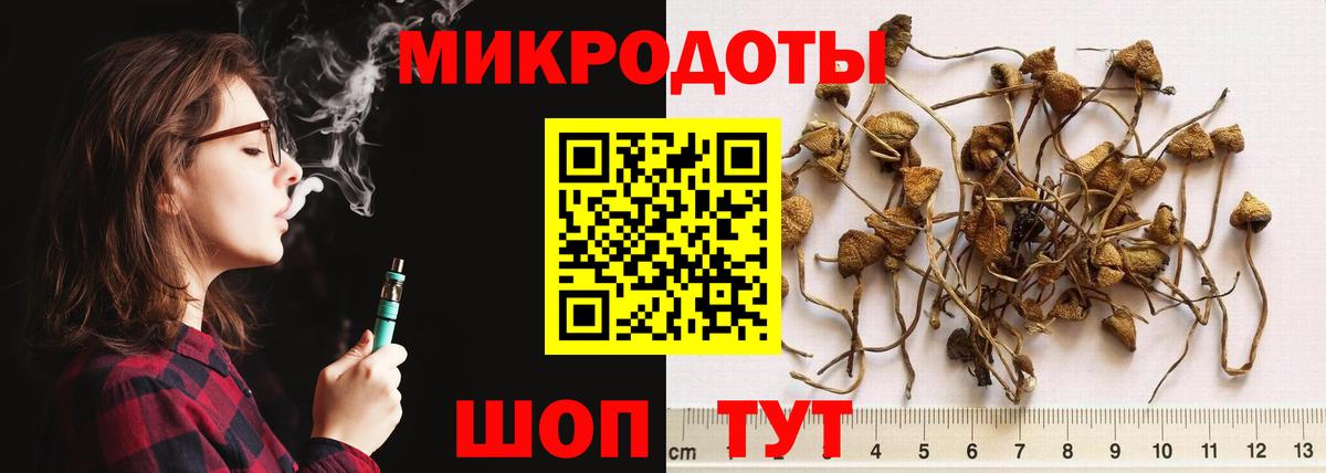 Галлюциногенные грибы Cubensis  сколько стоит  Большой Камень  Вход с VPN  Галлюциногенные грибы прущие грибы 